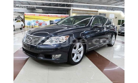 Acheter Import Voiture Lexus LS Autre à Import - Dubai, Togo