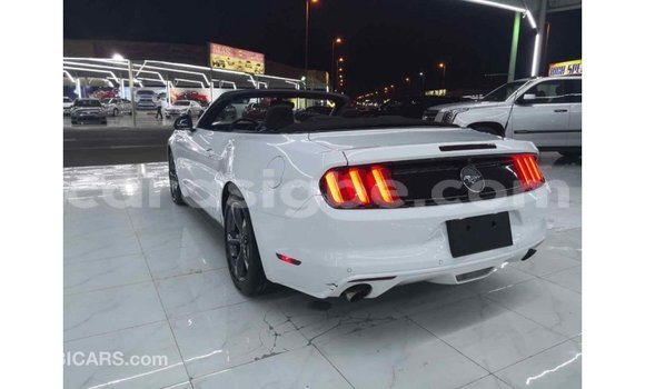 Acheter Import Voiture Ford Mustang Blanc à Import - Dubai, Togo Acheter Import Voiture Ford Mustang Blanc à Import - Dubai, Togo