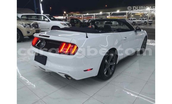 Acheter Import Voiture Ford Mustang Blanc à Import - Dubai, Togo Acheter Import Voiture Ford Mustang Blanc à Import - Dubai, Togo