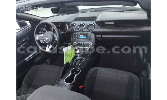 Acheter Import Voiture Ford Mustang Blanc à Import - Dubai, Togo Acheter Import Voiture Ford Mustang Blanc à Import - Dubai, Togo