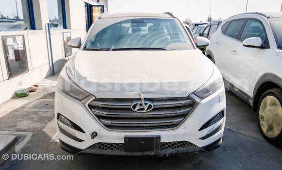 Acheter Import Voiture Hyundai Tucson Blanc à Import - Dubai, Togo Acheter Import Voiture Hyundai Tucson Blanc à Import - Dubai, Togo