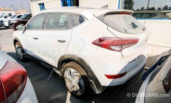 Acheter Import Voiture Hyundai Tucson Blanc à Import - Dubai, Togo Acheter Import Voiture Hyundai Tucson Blanc à Import - Dubai, Togo