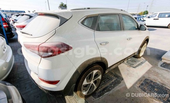 Acheter Import Voiture Hyundai Tucson Blanc à Import - Dubai, Togo Acheter Import Voiture Hyundai Tucson Blanc à Import - Dubai, Togo