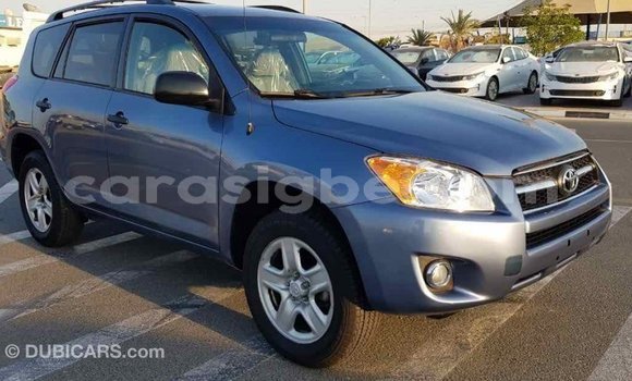 Acheter Import Voiture Toyota RAV4 Bleu à Import - Dubai, Togo Acheter Import Voiture Toyota RAV4 Bleu à Import - Dubai, Togo