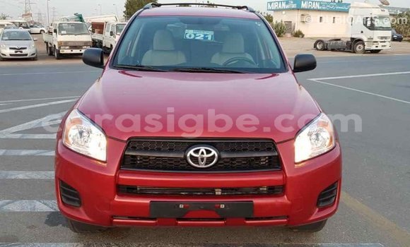 Buy Import Toyota RAV4 Red Car in Import - Dubai in Togo