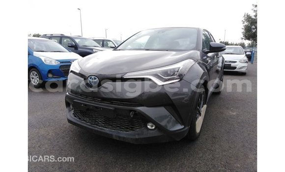 Acheter Import Voiture Toyota C-HR Autre à Import - Dubai, Togo Acheter Import Voiture Toyota C-HR Autre à Import - Dubai, Togo