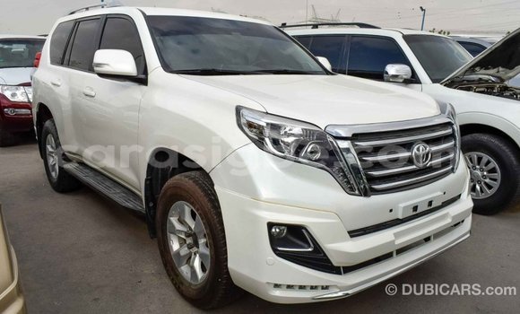 Buy Import Toyota Prado White Car in Import - Dubai in Togo