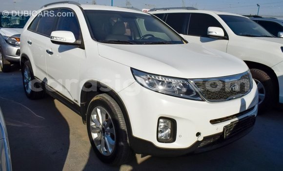 Buy Import Kia Sorento White Car in Import - Dubai in Togo