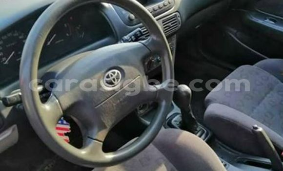 Buy Used Toyota Corolla Red Car in Lome in Togo Buy Used Toyota Corolla Red Car in Lome in Togo