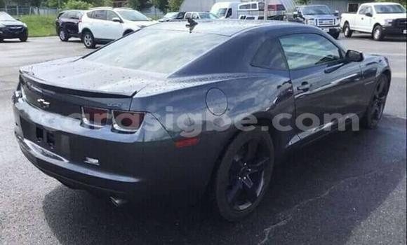 Buy Used Chevrolet Camaro Other Car in Lome in Togo Buy Used Chevrolet Camaro Other Car in Lome in Togo