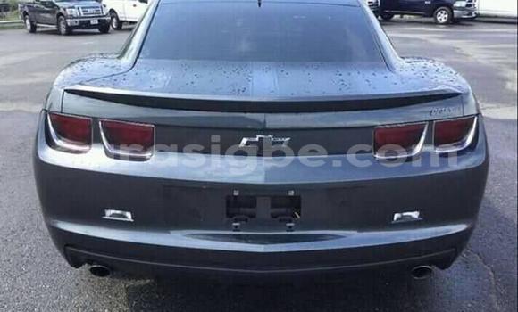 Buy Used Chevrolet Camaro Other Car in Lome in Togo Buy Used Chevrolet Camaro Other Car in Lome in Togo