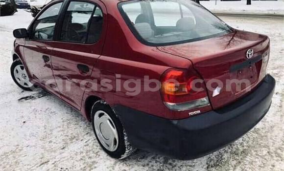 Buy Used Toyota Corolla Red Car in Lome in Togo Buy Used Toyota Corolla Red Car in Lome in Togo