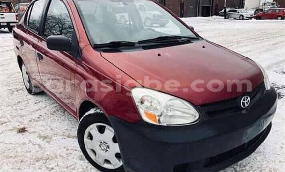 Buy Used Toyota Corolla Red Car in Lome in Togo Buy Used Toyota Corolla Red Car in Lome in Togo