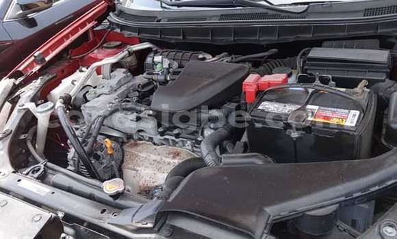 Buy Import Nissan Rogue Red Car in Lome in Togo Buy Import Nissan Rogue Red Car in Lome in Togo