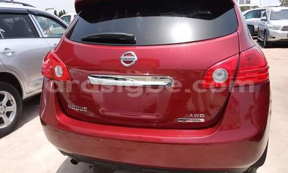 Buy Import Nissan Rogue Red Car in Lome in Togo Buy Import Nissan Rogue Red Car in Lome in Togo