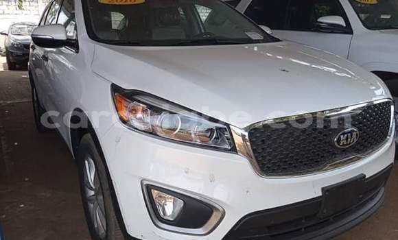 Buy Import Kia Sorento White Car in Lome in Togo Buy Import Kia Sorento White Car in Lome in Togo