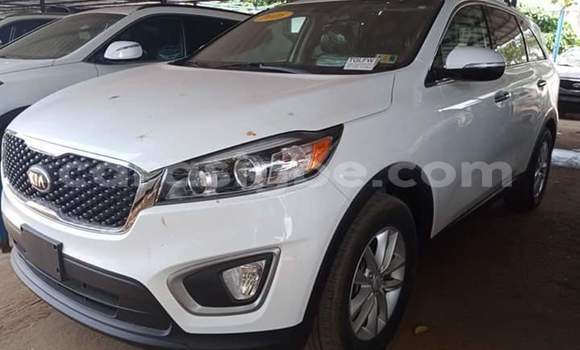 Buy Import Kia Sorento White Car in Lome in Togo Buy Import Kia Sorento White Car in Lome in Togo