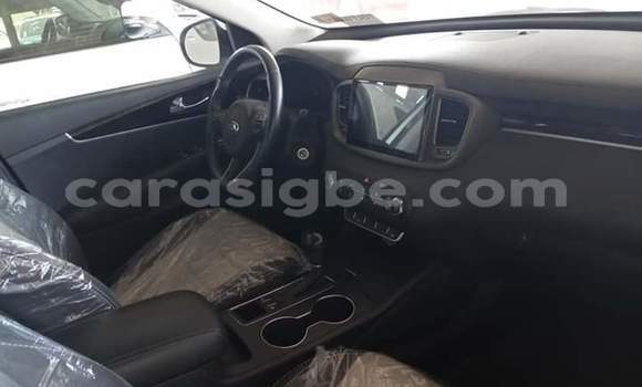Buy Import Kia Sorento White Car in Lome in Togo Buy Import Kia Sorento White Car in Lome in Togo