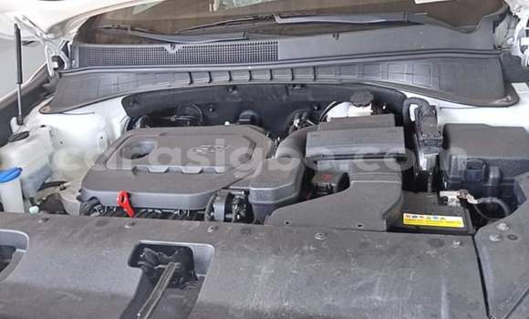 Buy Import Kia Sorento White Car in Lome in Togo Buy Import Kia Sorento White Car in Lome in Togo