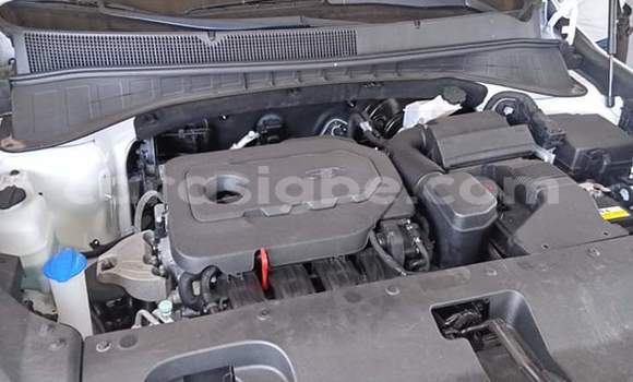 Buy Import Kia Sorento White Car in Lome in Togo Buy Import Kia Sorento White Car in Lome in Togo