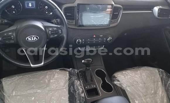 Buy Import Kia Sorento White Car in Lome in Togo Buy Import Kia Sorento White Car in Lome in Togo