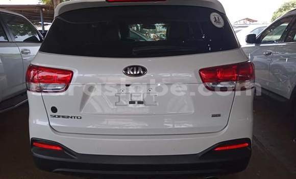 Buy Import Kia Sorento White Car in Lome in Togo Buy Import Kia Sorento White Car in Lome in Togo