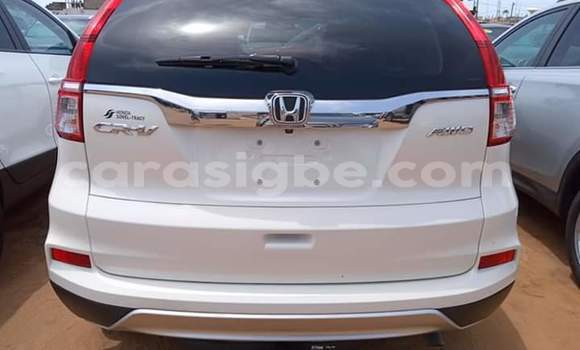 Acheter Import Voiture Honda CR–V Blanc à Lomé, Togo