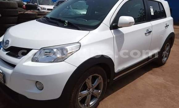 Buy Import Toyota Urban Cruiser White Car in Lome in Togo Buy Import Toyota Urban Cruiser White Car in Lome in Togo
