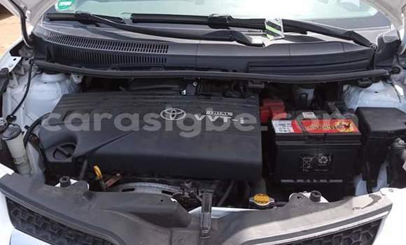 Buy Import Toyota Urban Cruiser White Car in Lome in Togo Buy Import Toyota Urban Cruiser White Car in Lome in Togo