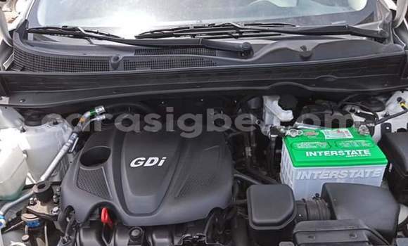 Buy Import Kia Sportage White Car in Lome in Togo Buy Import Kia Sportage White Car in Lome in Togo