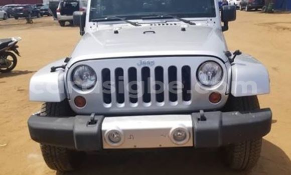 Acheter Occasion Voiture Jeep Wrangler Gris à Lomé, Togo