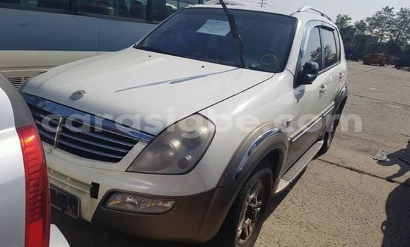 Acheter Occasion Voiture SsangYong Rexton Blanc à Lomé, Togo