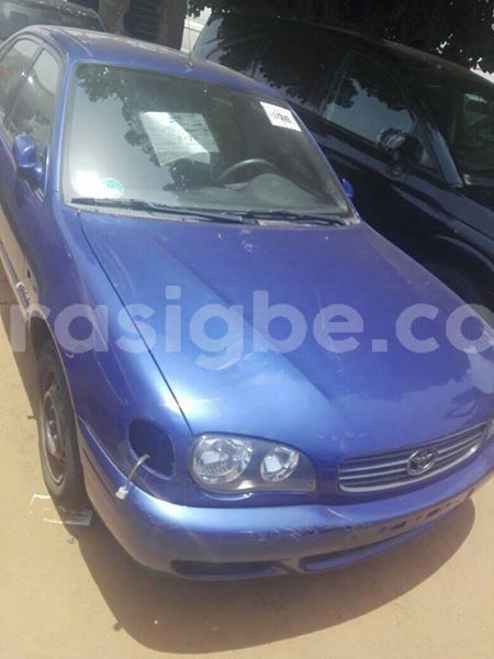 Big with watermark 56464370 2346050649011798 78447972798431232 n