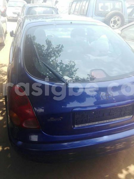 Big with watermark 56168001 2346050935678436 6046772636564848640 n