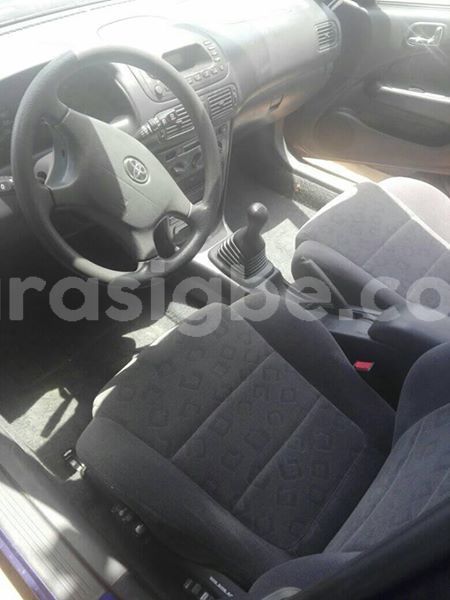 Big with watermark 56590938 2346050772345119 1747128408942313472 n