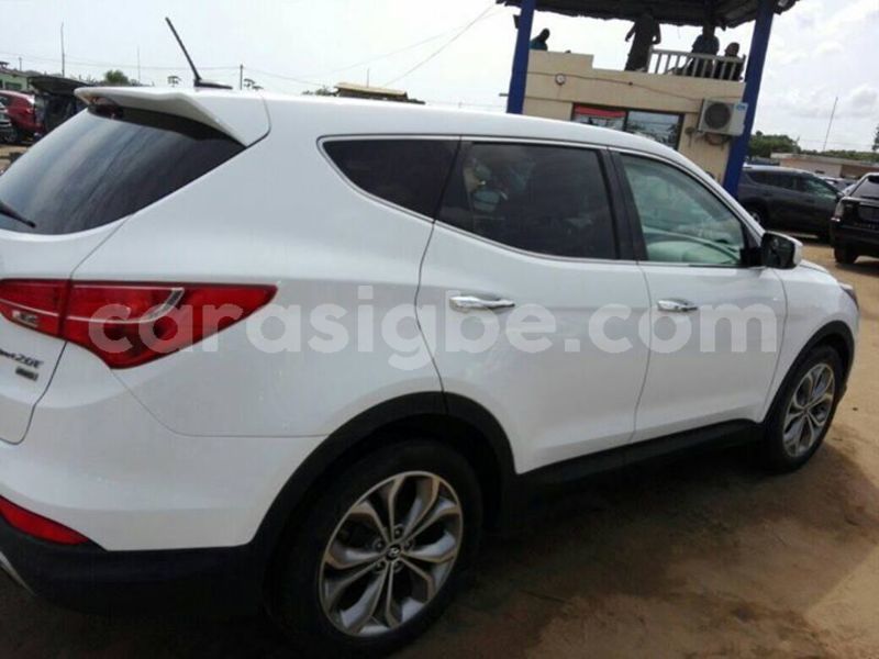 Big with watermark 54348293 2324959061120957 6581649657242320896 o