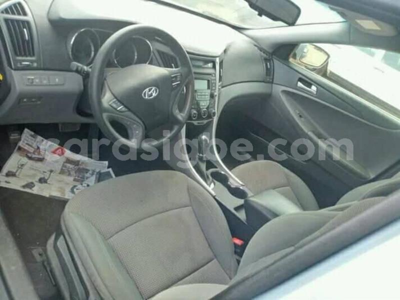 Big with watermark 53095720 2321613481455515 7807455691710398464 n