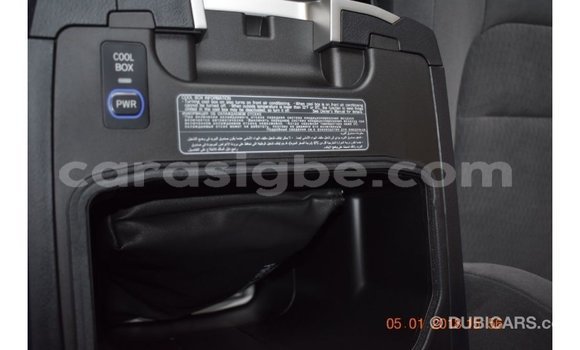 Buy Import Toyota Land Cruiser Other Car in Import - Dubai in Togo Buy Import Toyota Land Cruiser Other Car in Import - Dubai in Togo