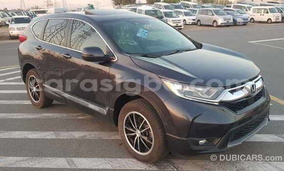 Acheter Import Moto Honda C Autre à Import - Dubai, Togo Acheter Import Moto Honda C Autre à Import - Dubai, Togo