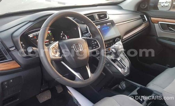 Acheter Import Moto Honda C Autre à Import - Dubai, Togo Acheter Import Moto Honda C Autre à Import - Dubai, Togo