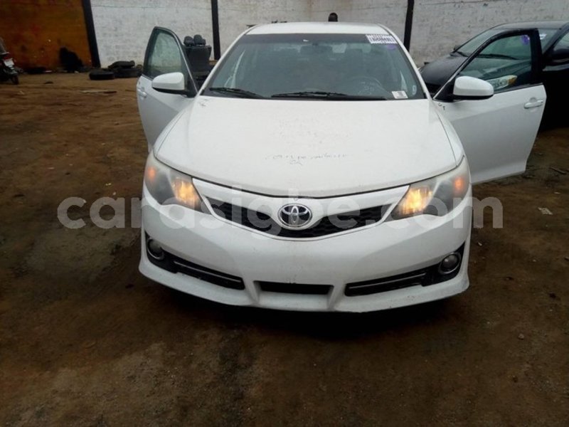 Big with watermark 57262918 104528857415422 3679185959187906560 o