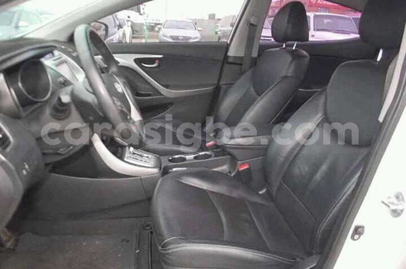 Big with watermark 57072576 291139688482882 4299084430175109120 n