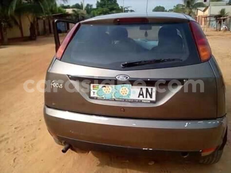 Big with watermark 56623255 191807458464206 2146928282958823424 n