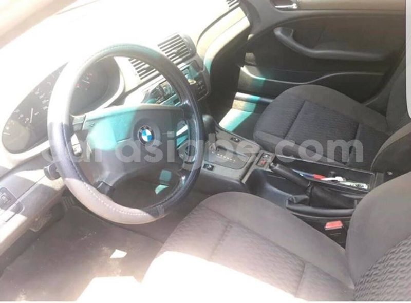 Big with watermark 55698581 187753632202922 4496103973136105472 o