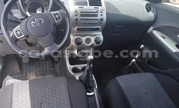 Buy Import Toyota Urban Cruiser Silver Car in Lome in Togo Buy Import Toyota Urban Cruiser Silver Car in Lome in Togo