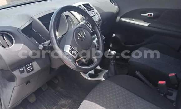 Buy Import Toyota Urban Cruiser Silver Car in Lome in Togo Buy Import Toyota Urban Cruiser Silver Car in Lome in Togo