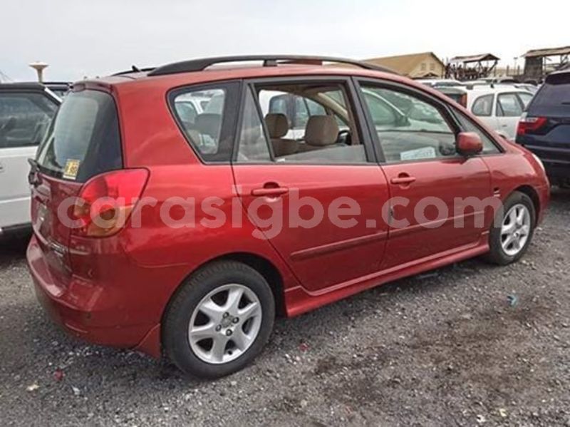 Big with watermark 56236254 2188592737862139 5449013051246247936 n