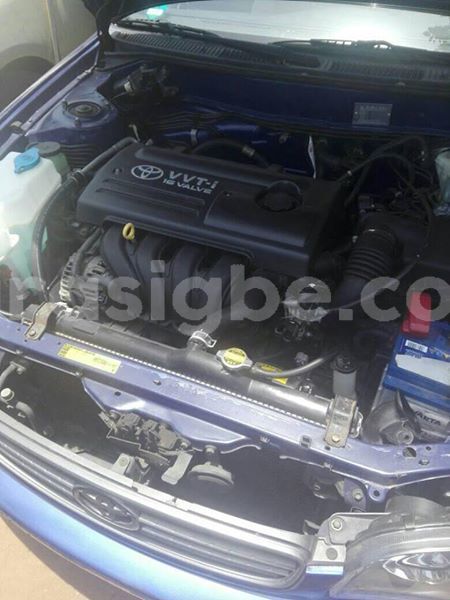 Big with watermark 56542929 2346052795678250 3347786415772532736 n