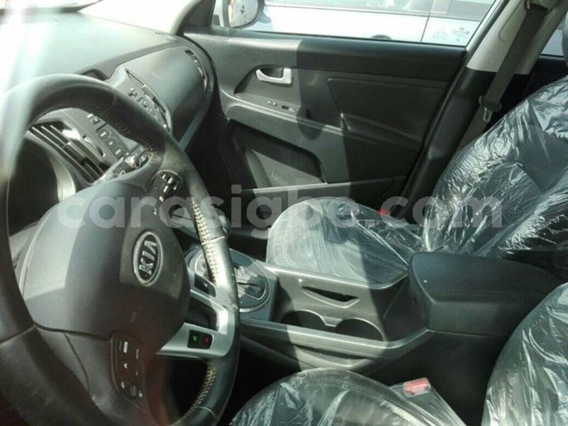 Big with watermark 53826553 2328664470750416 3017752422849183744 o