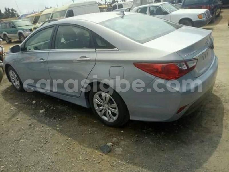 Big with watermark 53160242 2321615564788640 5736062624924172288 n